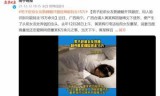 王者荣耀qq登录失败网络异常(手机登录请稍后再试)